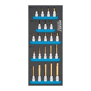 HAZET Screwdriver socket set 163-571/22