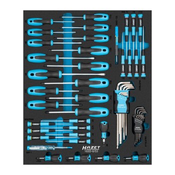 HAZET Screwdriver set 163D-6/53
