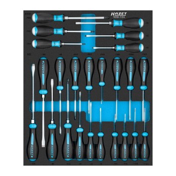HAZET Screwdriver set 163D-7/24
