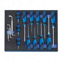 GEDORE Screwdriver set in 2/4 CT tool module, 15 pcs (2016311), 2005 CT2-2160
