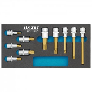 HAZET 163-221/10 Screwdriver socket set, 10pcs.