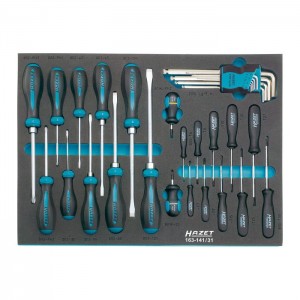 HAZET Screwdriver set 163-141/31