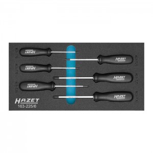 HAZET 163-225/6 Tool module “Safety-Insert-System”