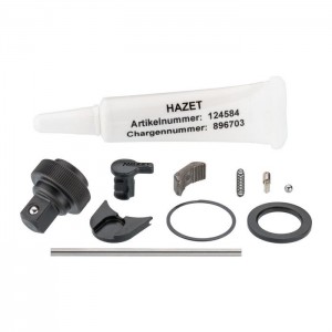 HAZET Replacement set for ratchet wheel 863HP/11