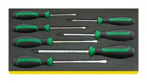 Stahlwille SCREWDRIVER SET IN TCS INLAY TCS 4620/4640