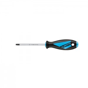 MAXX screwdriver TORX 30X115MM