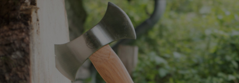Competition axes Competition axes